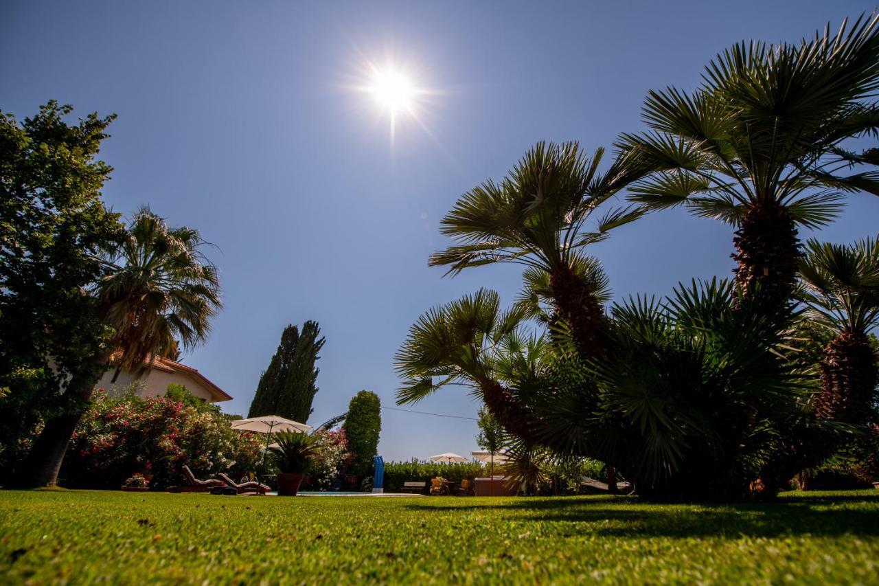 Villa Tigli Luxury B&B Martinsicuro Exterior photo